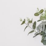 Pflanze | Prosa & Papier