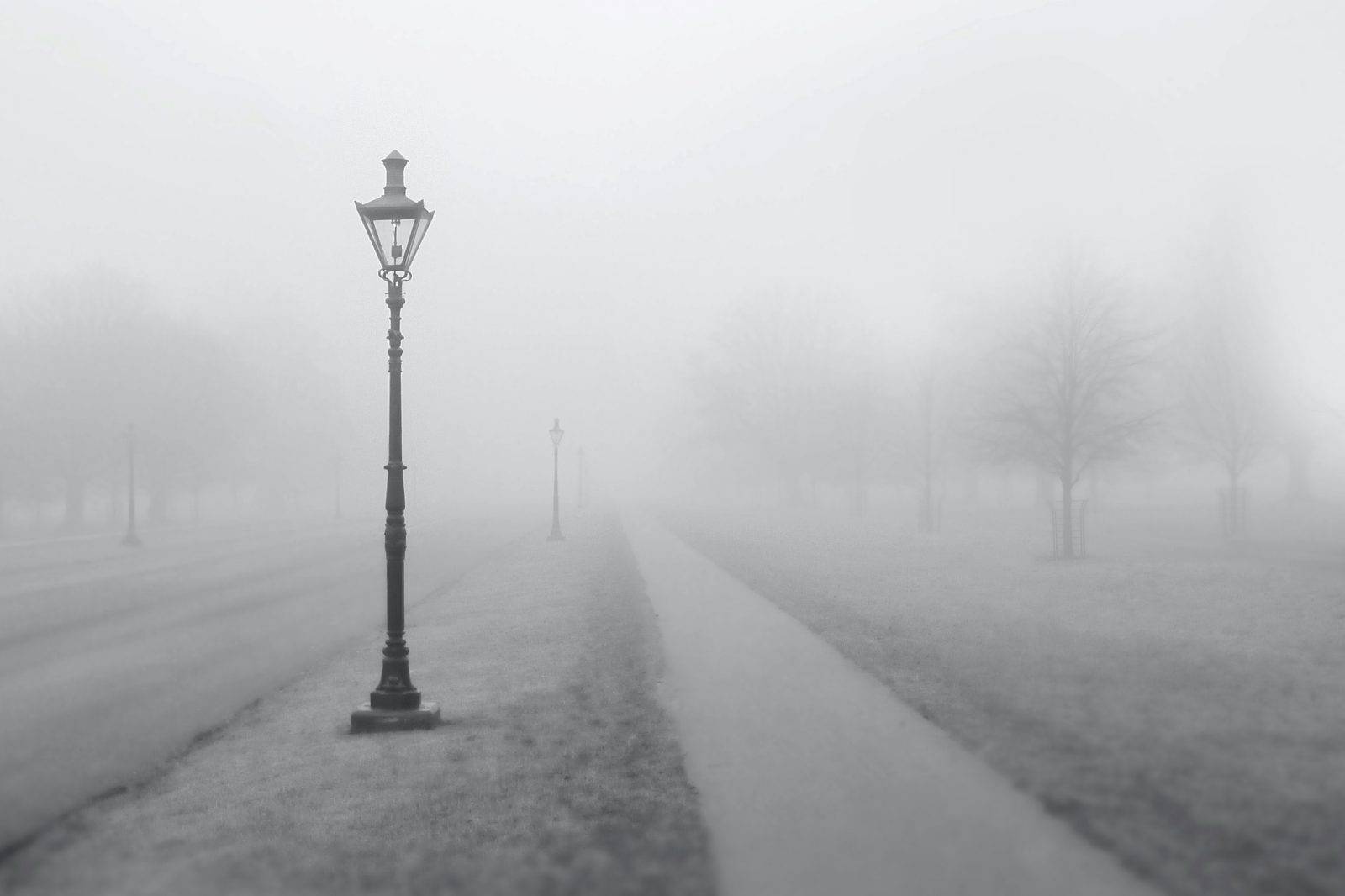 Straßenlaterne im Nebel | Prosa & Papier