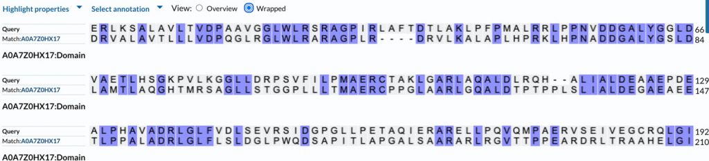 blast local sequence alignment