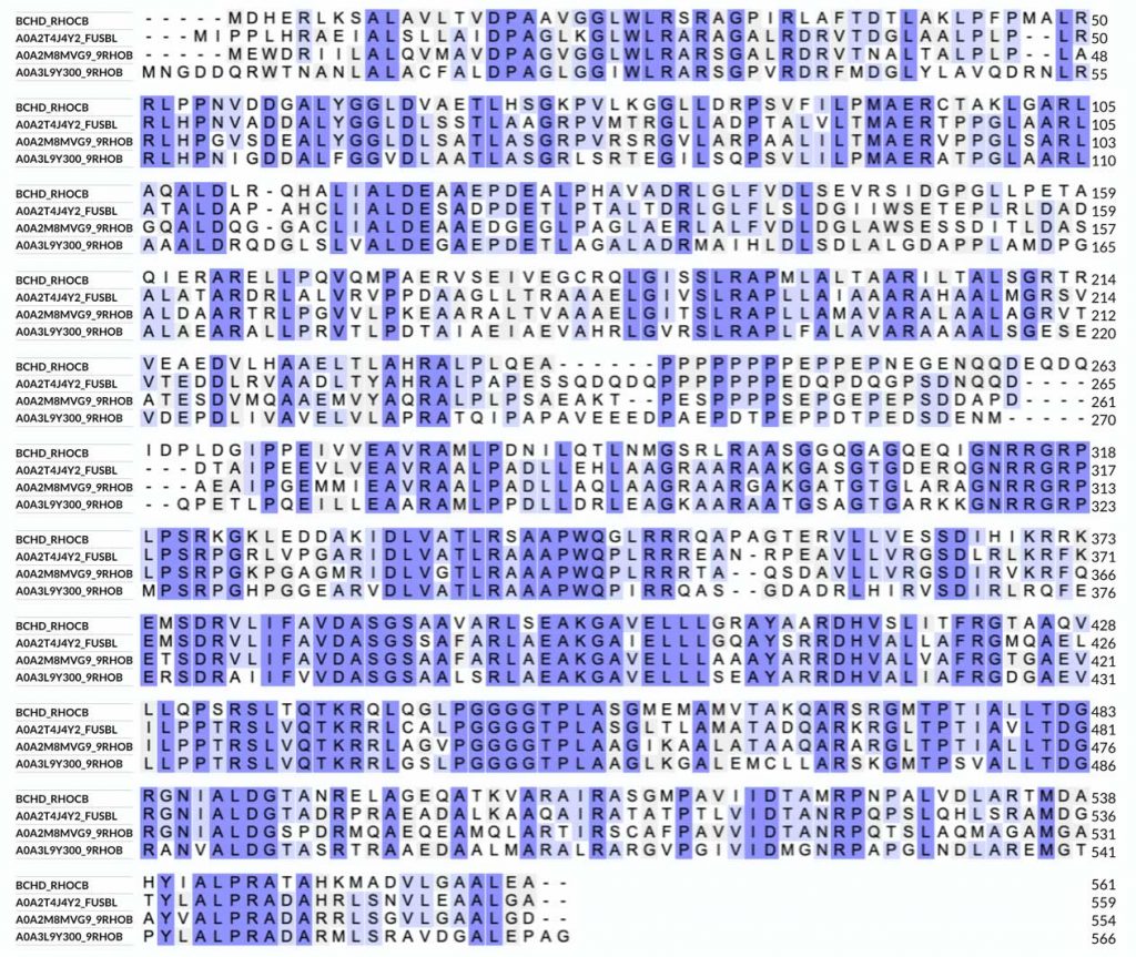 example amino acid sequence alignment of magnesium chelatase BchD subunit