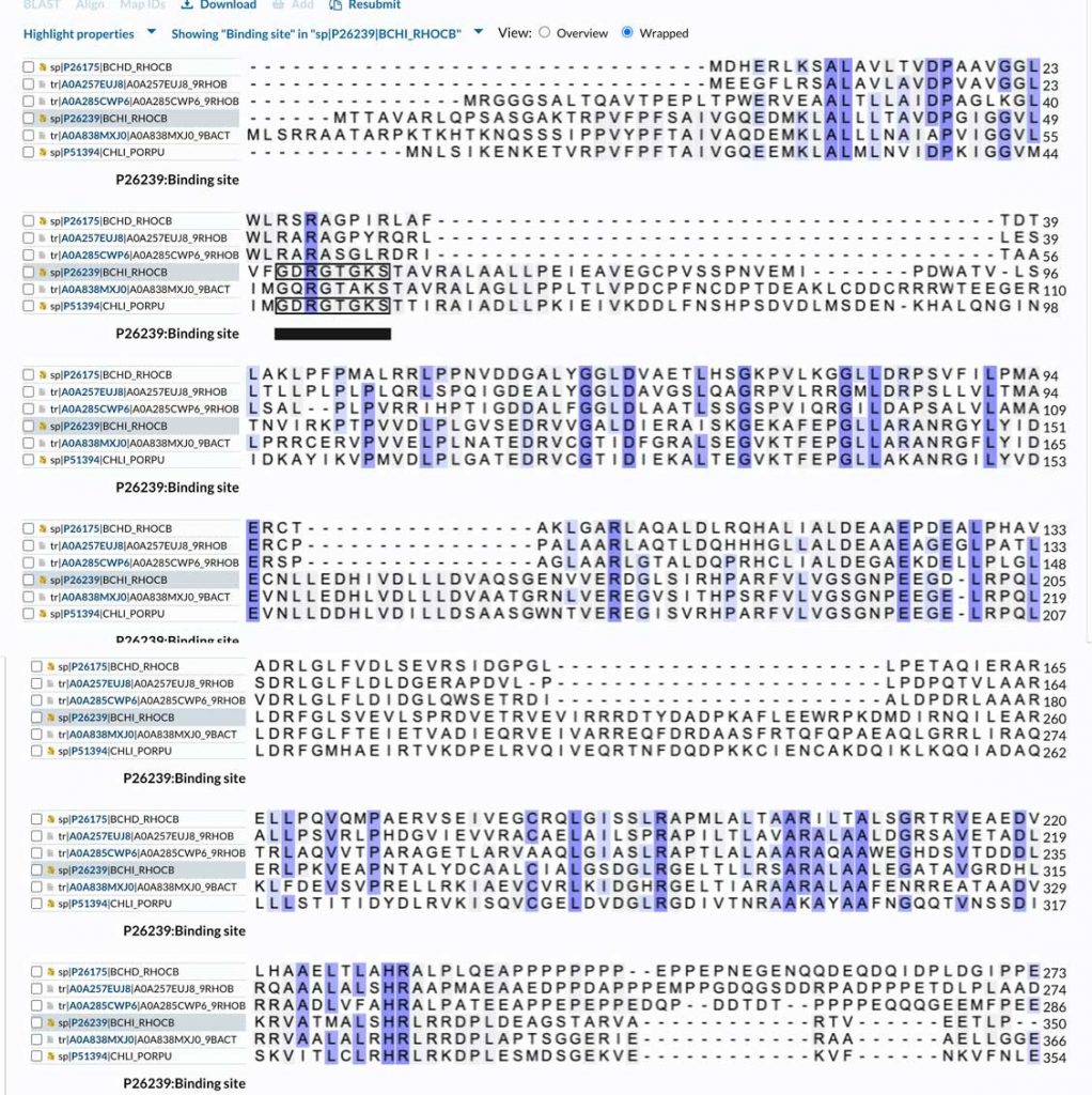 amino acid sequence alignment: BchI-BchD