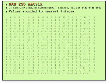log-odds scoring matrix for calculation amino acid alignment score