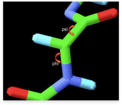 Protein main chain torsion angles