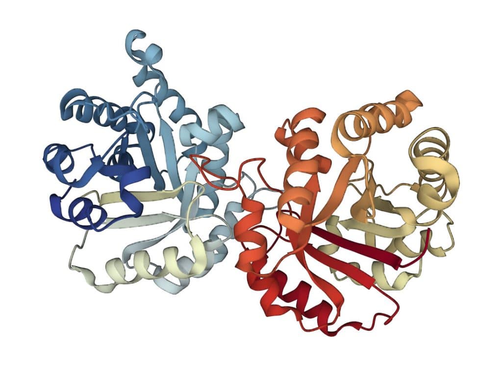 Protein Domains and Motifs