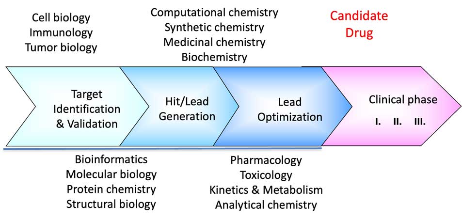 Schematic presentation of the drug discovery process