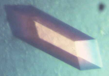 High-quality protein crystal crystallized in a sitting drop
