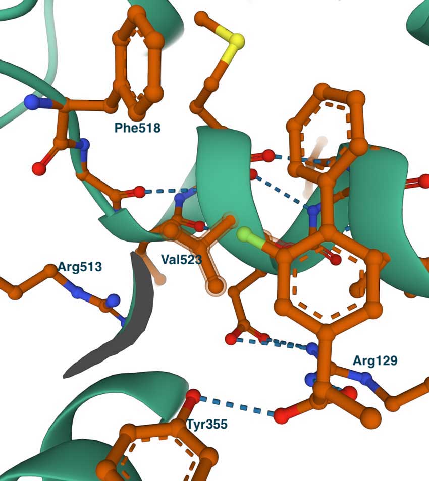 COX2 complex with flurbiprofen