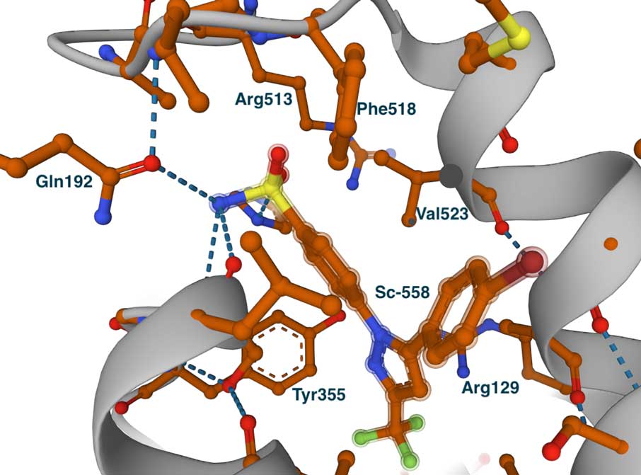 SC-558 complex with COX-2