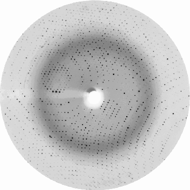 X-ray diffraction image from a protein crystal