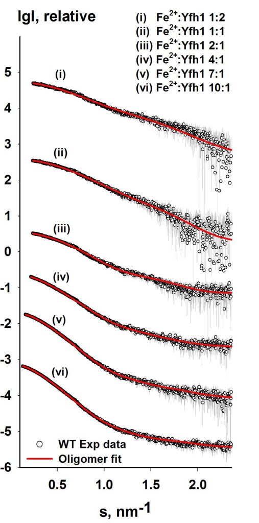 SAXS scattering example image
