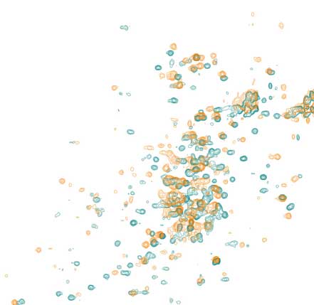 Protein NMR spectroscopy image