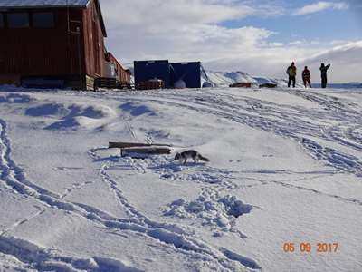 opsætning for Dundas Titanium Qaanaaq på Grønland