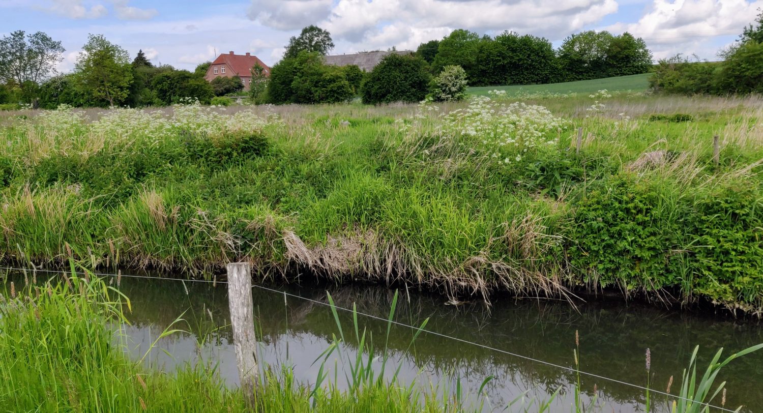 Naturen kan anvendes til at holde hjernepause i 