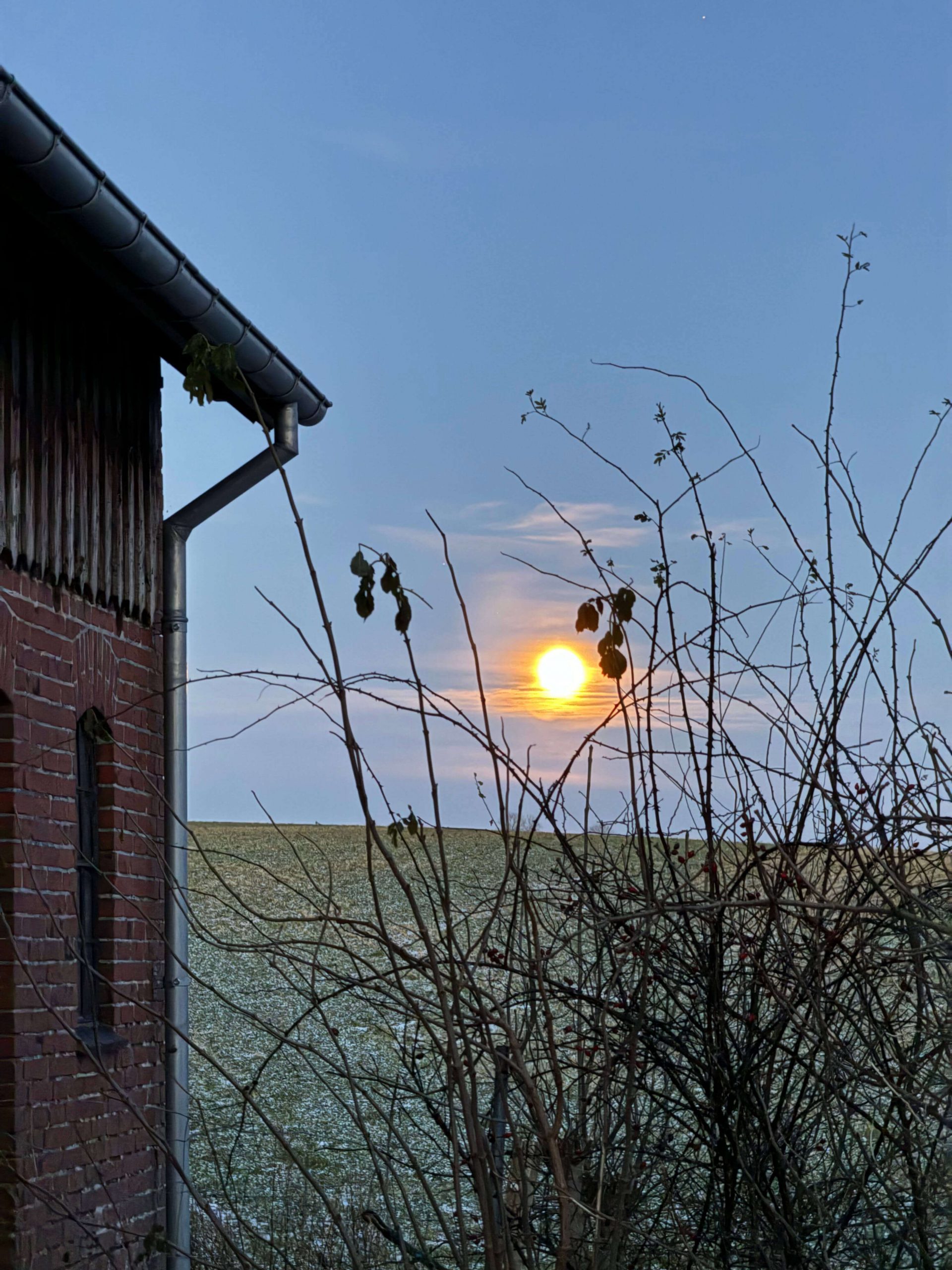 Sådan holder du en hjernepause