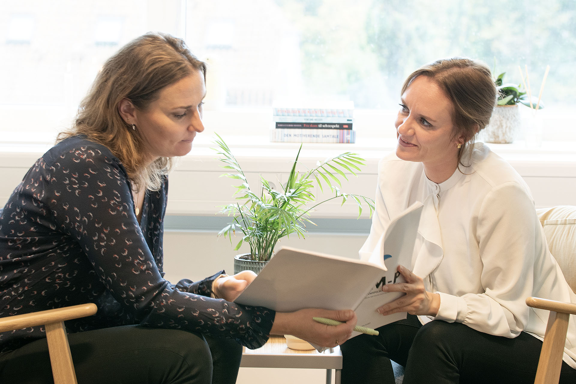 PP Viborg Sofie og Elisa bog web