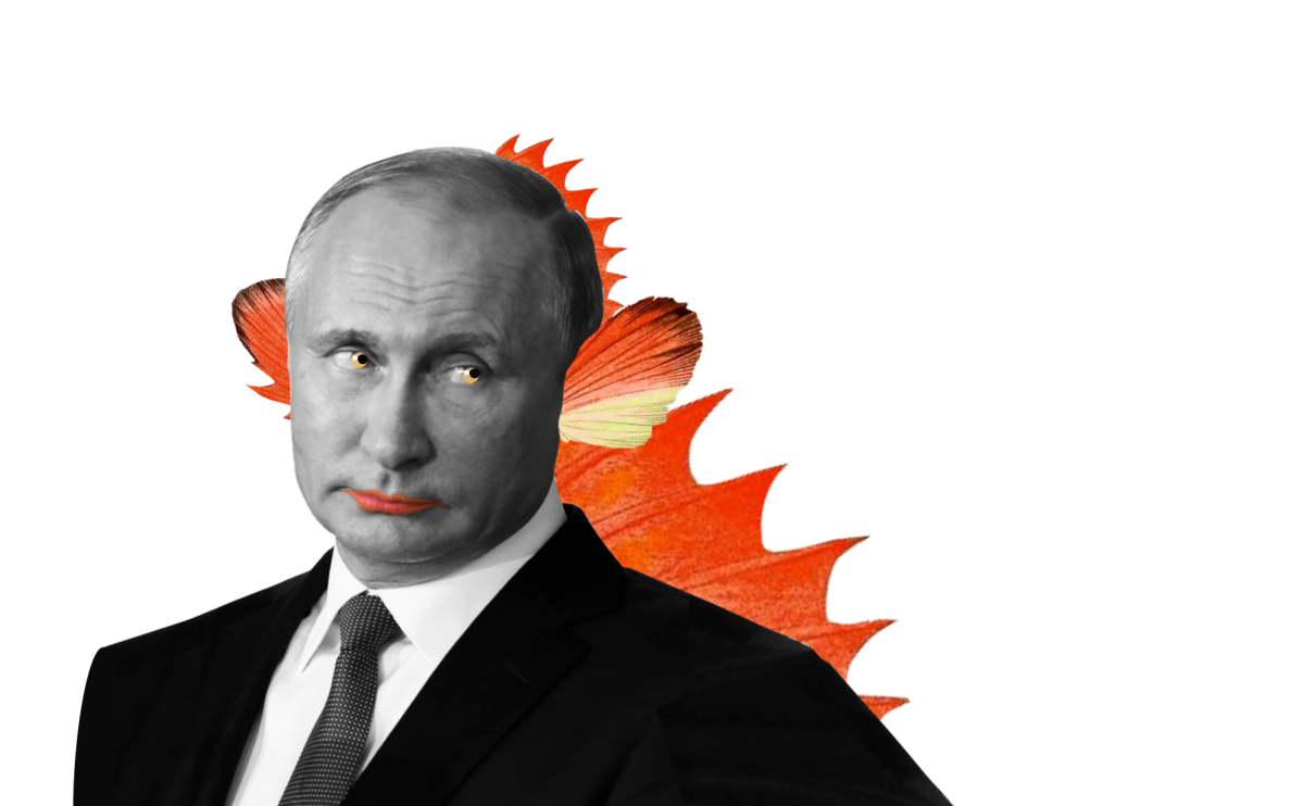 Redfish & Co: Linke Medienoffensive mit Geld aus dem Kreml