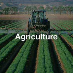 AGRICULTURE