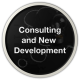 Consulting and New Development