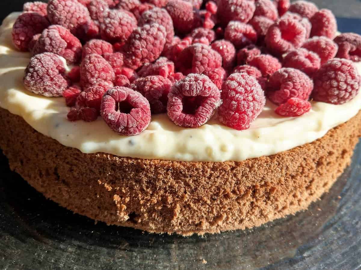 Himbeerkuchen mit Schokoladenbiskuitboden und Vanillepuddingschicht - Backen wie die Oma