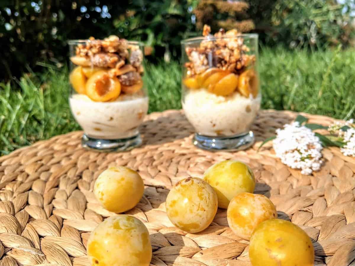 Marillen - oder auch Aprikosen - sind ein tolles und supersaftiges Steinobst, das sich hervorragend für Marmelade, Gelees oder auch Desserts eignet.