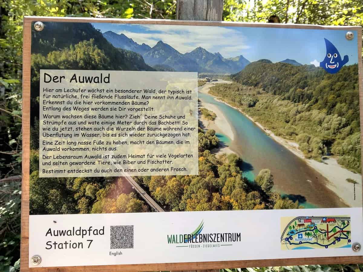 Auwaldpfad Station 7 Lech Wasser Erlebnispfad