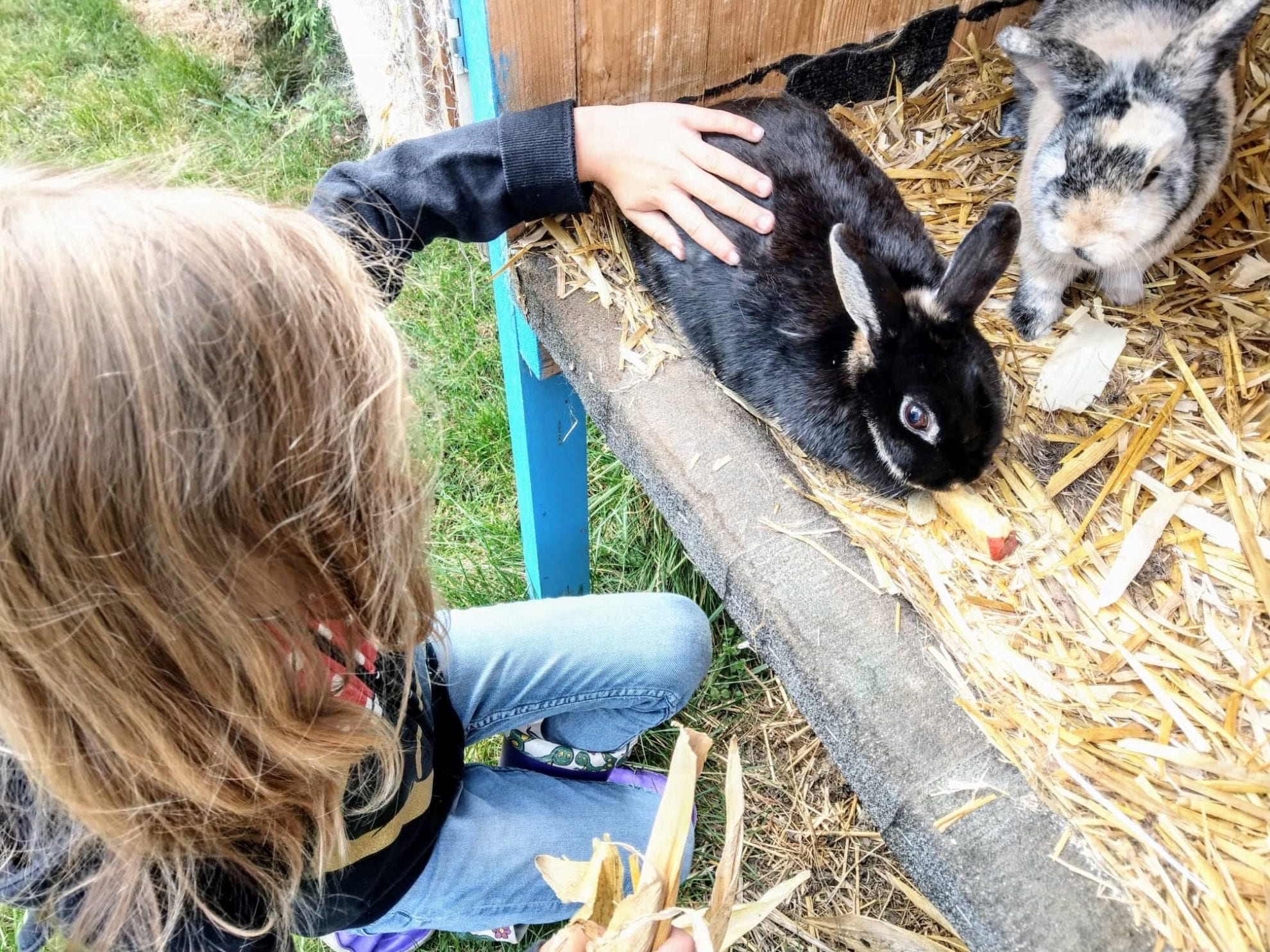 Wenn Kinder trauern - Abschied von unserem Kaninchen Frieda