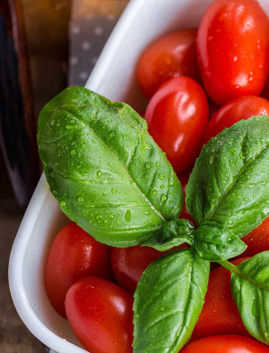 Tomaten Ernährung gesund ausgewogen Großfamilie