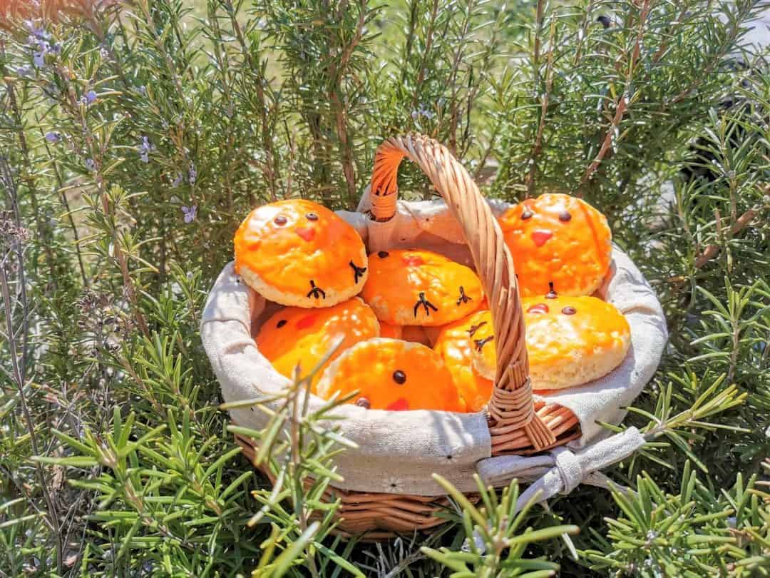 Ein easy Rezept zu Ostern: Küken backen aus Quarkölteig - perfekt für Kinderhände