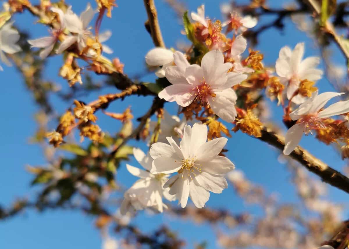 30 schöne Momente im April: Positive Gedanken zu Zeiten der Coronakrise