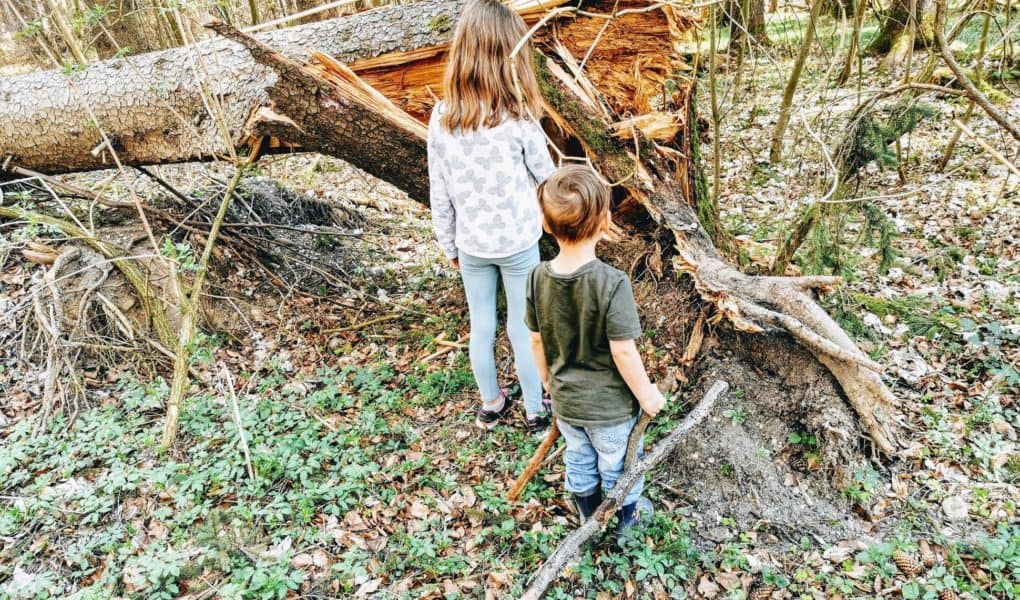 Eine Schatzsuche Im Wald Freebie Zum Ausdrucken Puddingklecks