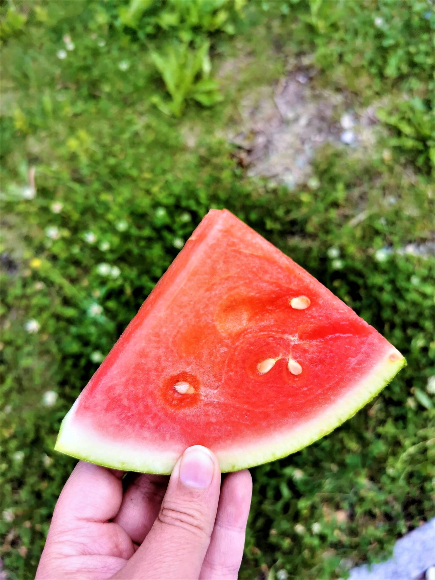 Wassermelone als gesunder Snack am Nachmittag!