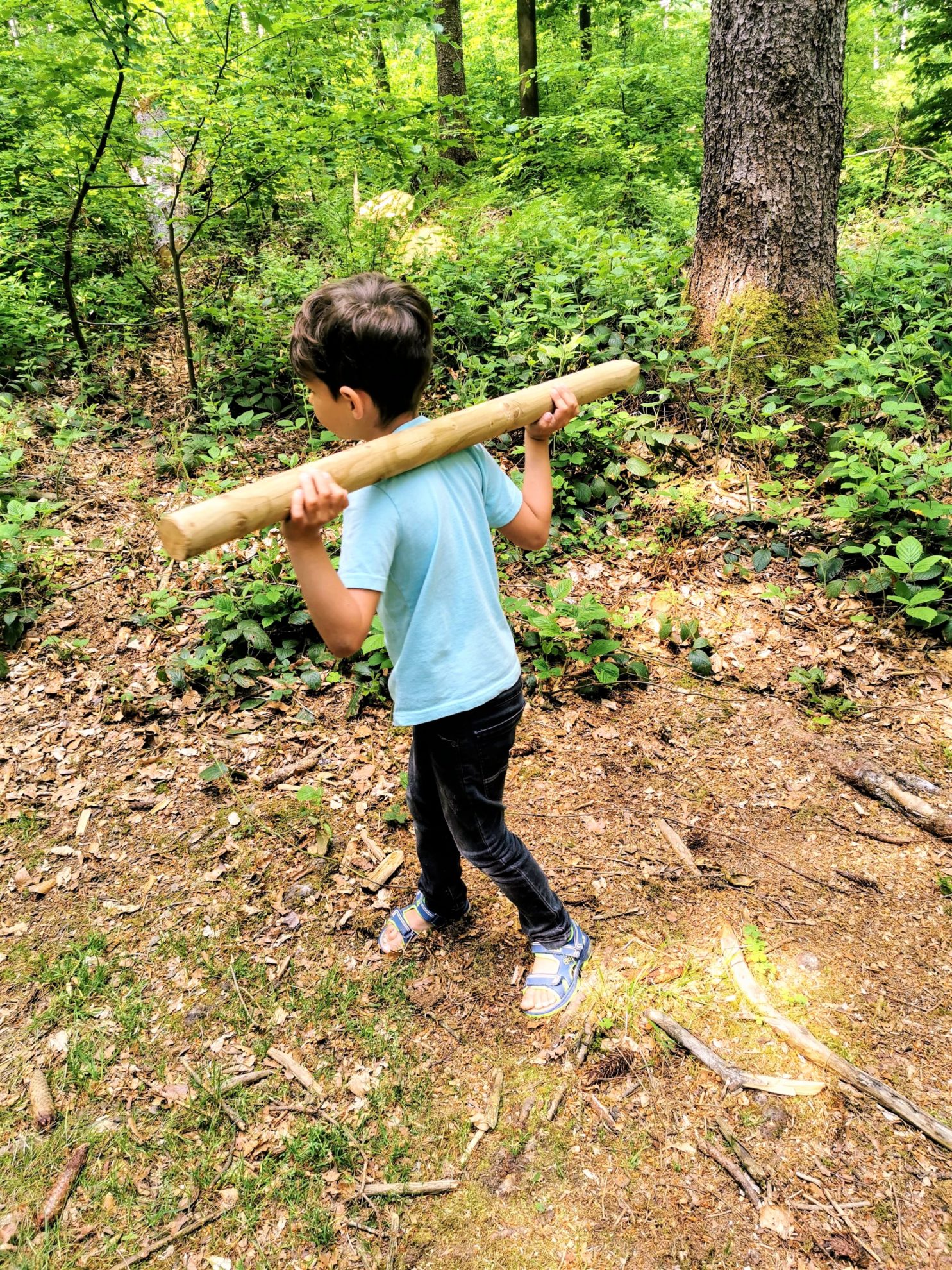 Übungen mit einem Holzbalken im Wald