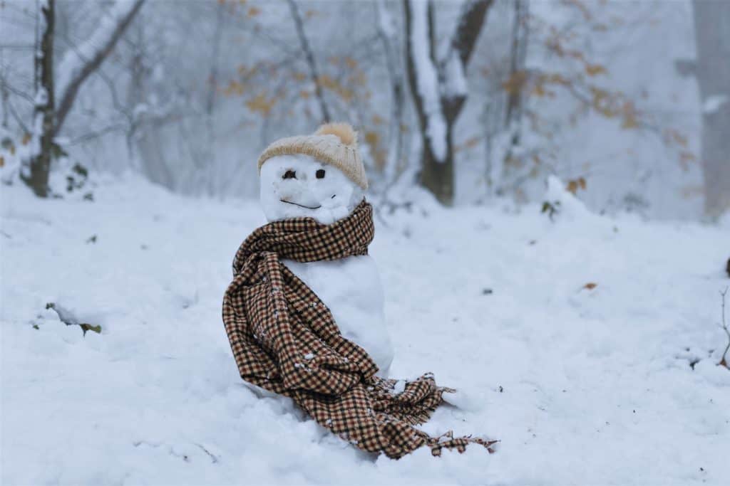 Ideen für ein vegetarisches Weihnachtsmenü mit Vorspeise