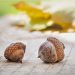Mit dieser Herbst Bucketlist kannst du diese Jahreszeit bunt und liebevoll gestalten. Hier findest du tolle Ideen für die ganze Familie.