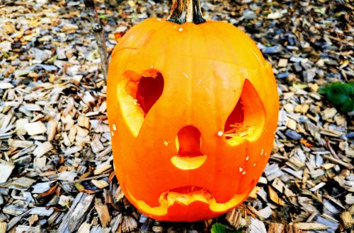 DIY: Kürbis schnitzen mit der Ausstechmethode. So einfach und schnell bekommst du (mit deinen Kindern) einen tollen Kürbis zu Halloween hin.