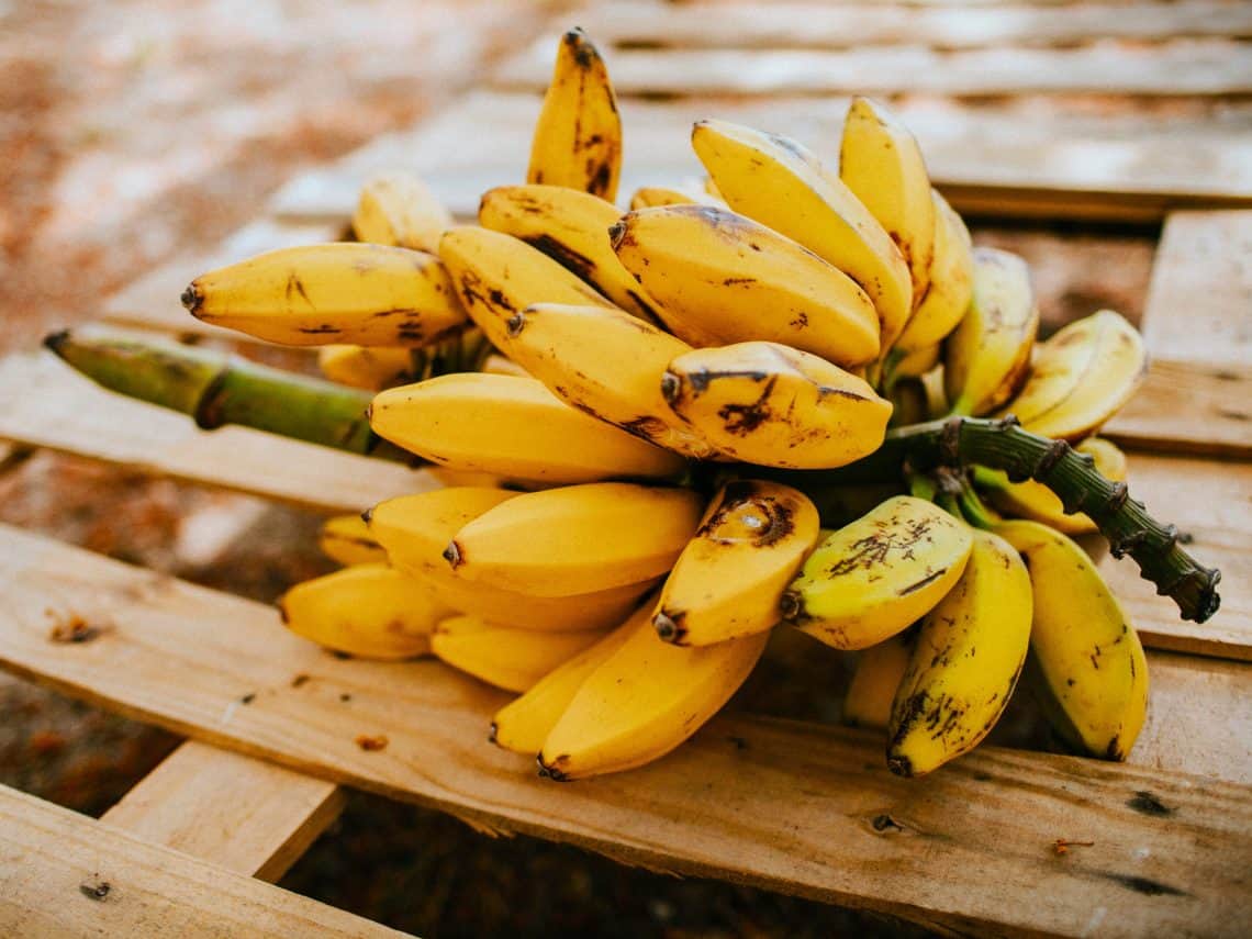 Reife Bananen verarbeiten - 3 einfache Rezepte für überreife Bananen. Pancakes, Bananenmilch und Kekse. Beikost tauglich und lecker!