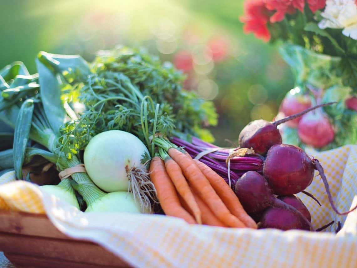 In meinem Familien-Speiseplan findest du bunte und abwechlungsreiche Rezepte für jeden. Gesund kochen, Essen genießen und alle sind glücklich. Ein Wochenplan für die ganze Familie