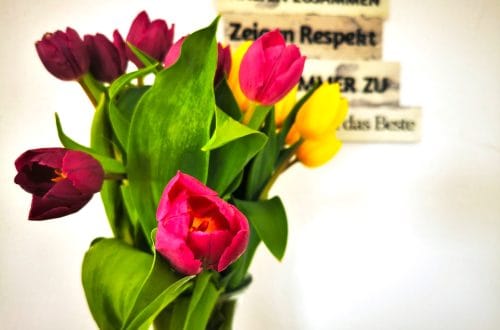 Die Freitagslieblinge am 6.5.22 geben einen liebevollen Rückblick auf die letzten 7 Tage im Großfamilienleben mit einem tollen Lektüretipp #familie #familienzeit #freitagslieblinge #lieblingsmoment #lieblingsbuch #lieblingsessen #inspiration #lieblingsmensch