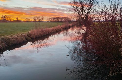 Im 12 von 12 zeige ich dir anhand von 12 Bildern einen kleinen Ausschnitt meines Lebens. Schau rein in den Alltag mit 6 Kindern.