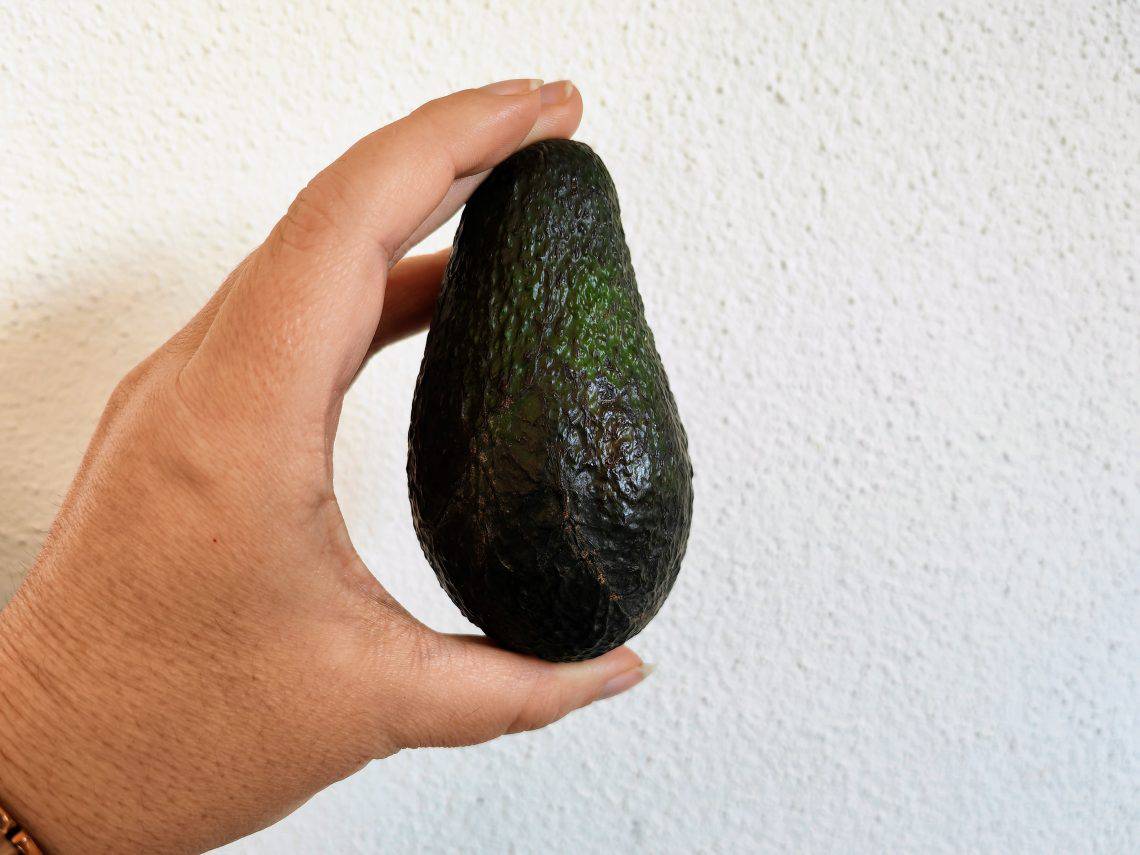 Einen Avocadobaum züchten? Gar nicht so schwer mit meiner einfachen Anleitung. Das funktioniert sogar mit schwarzem Daumen!