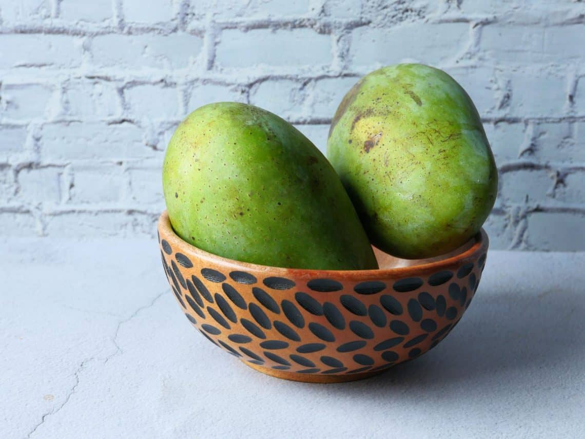 So einfach kannst du einen Mangobaum züchten. Ich zeige dir eine kinderleichte Methode, wie du aus dem Samen einen Baum ziehen kannst.