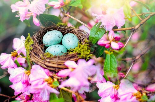 Du suchst nach einfachen Ideen zu Ostern? Dann bist du hier genau richtig. Ob Rezepte oder easy DIY, bei meinen Osterideen wirst du fündig!