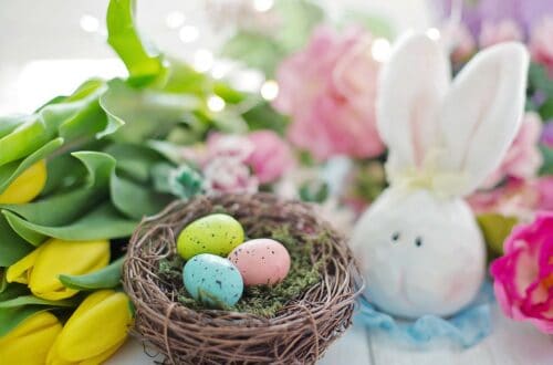 Du willst einen Osterbrunch veranstalten und weißt nicht, was du servieren sollst? Ich zeige dir hier 10 tolle vegetarische und vegane Ideen!