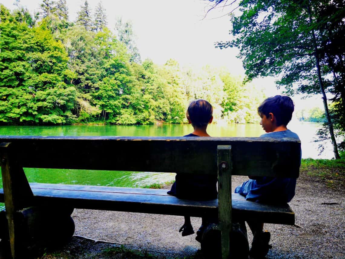 Ein kostenloser Ausflugstipp für Familien: Der Wildpark Landsberg am Lech. Hier findest du alles, was du zum Wildpark Pössinger Au wissen musst.