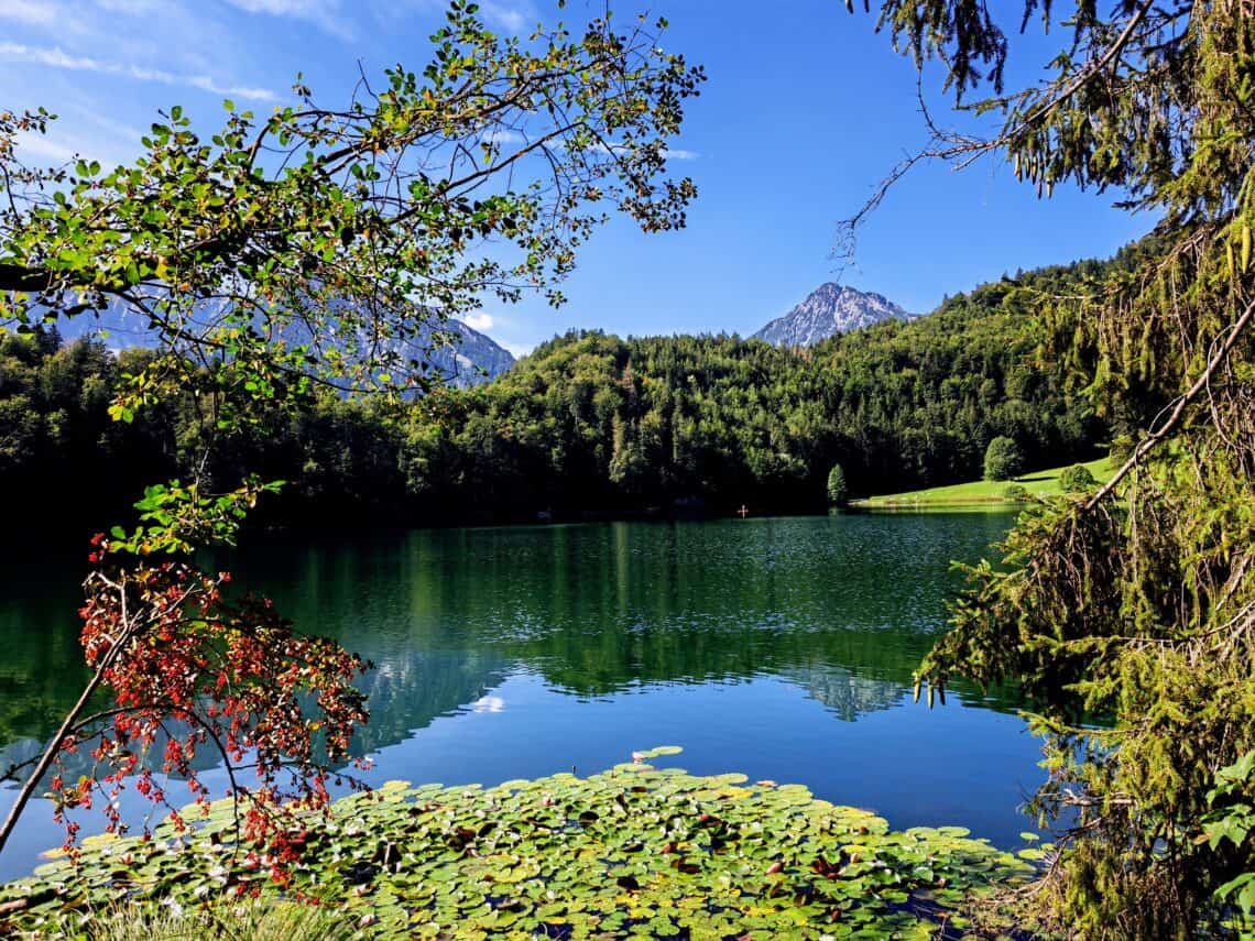 Ausflugstipp für Familien und Naturliebhaber: Der Alatsee bei Füssen im Ostallgäu ist ein Kleinod mitten in der Natur.