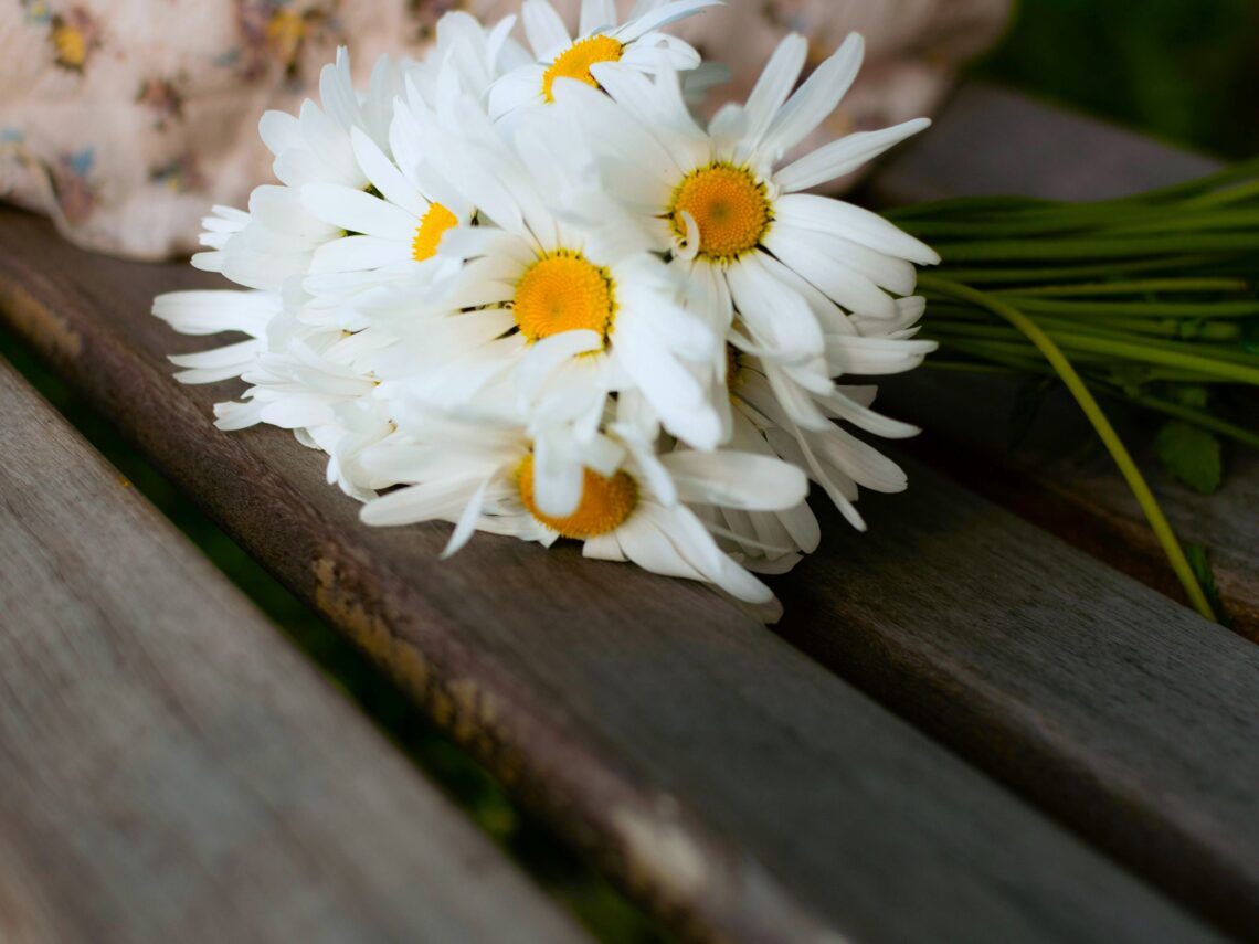 Je ein Rezept mit Löwenzahn, Schnittlauchblüten und Gänseblümchen ... Je ein Rezept mit Löwenzahn, Schnittlauchblüten und Gänseblümchen ...