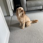 IMG 4357.jpeg