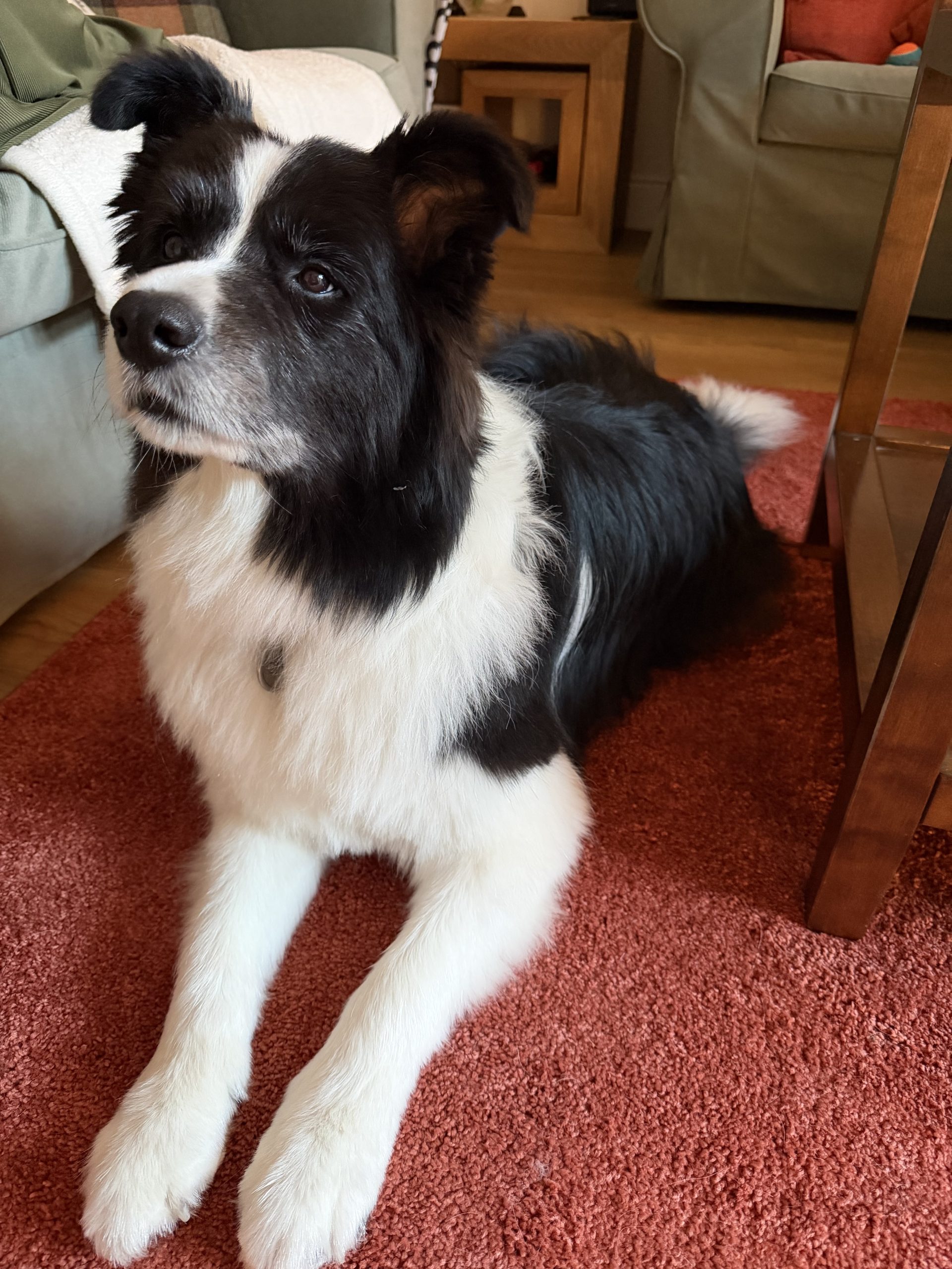 You are currently viewing Link