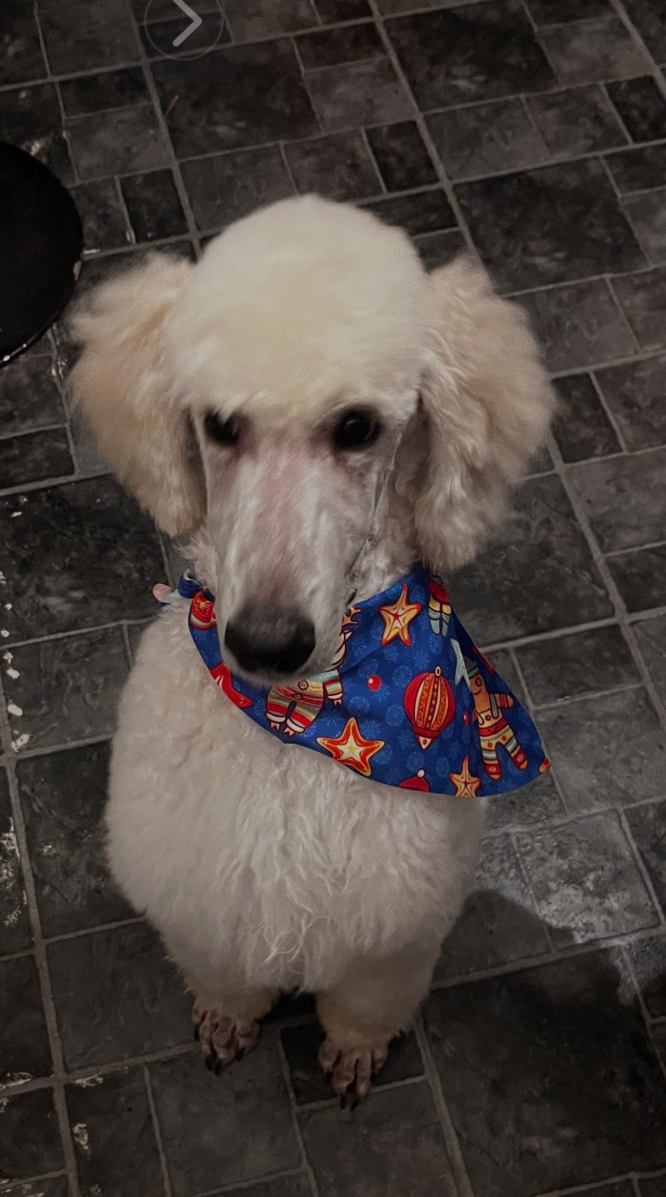 You are currently viewing Charlie
