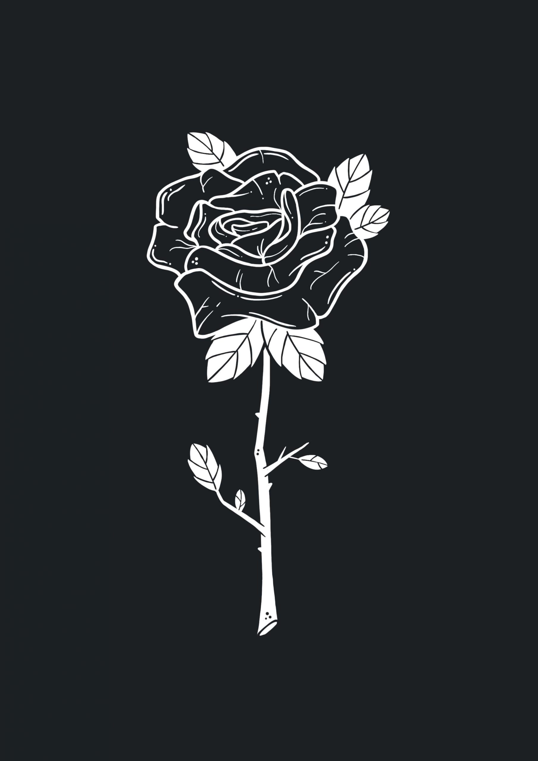 Illustratie van een roos